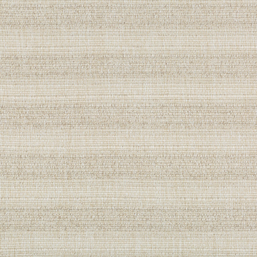 KRAVET COUTURE - 36613 - Fabric By the Yard