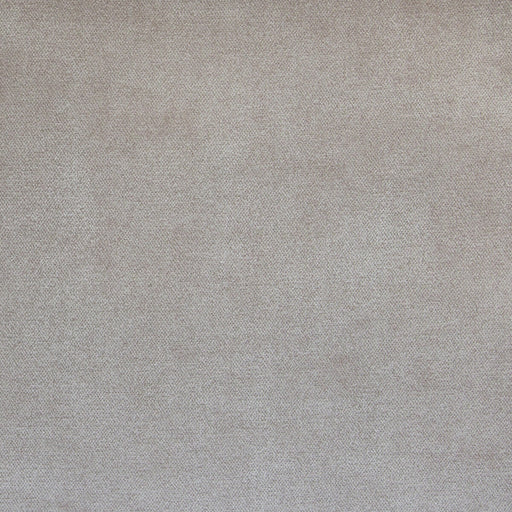 KRAVET COUTURE - 36615 - Fabric By the Yard