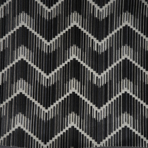 KRAVET COUTURE - KRAVET COUTURE- 36617-816 - Fabric by the Yard 36617-816