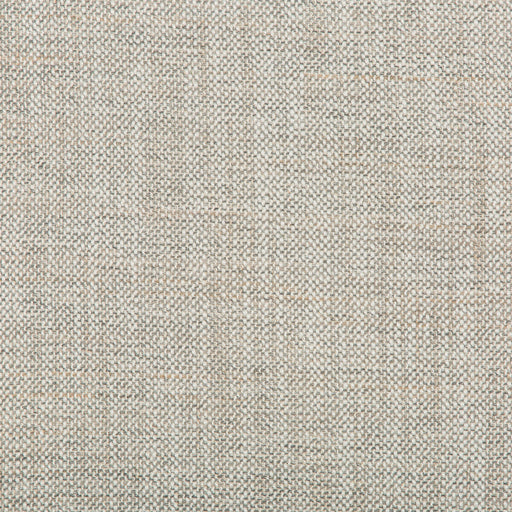 KRAVET COUTURE - KRAVET COUTURE- 36635-11 - Fabric by the Yard 36635-11