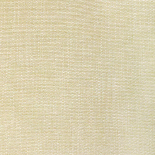 KRAVET SMART - KRAVET SMART- 36650-1111 - Fabric by the Yard 36650-1111