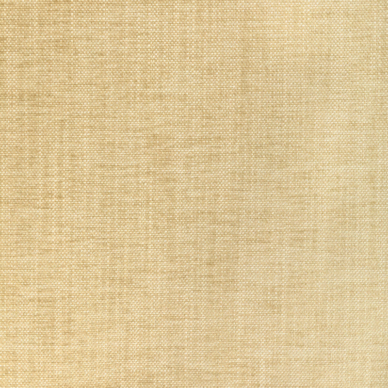 KRAVET SMART - KRAVET SMART- 36650-1116 - Fabric by the Yard 36650-1116