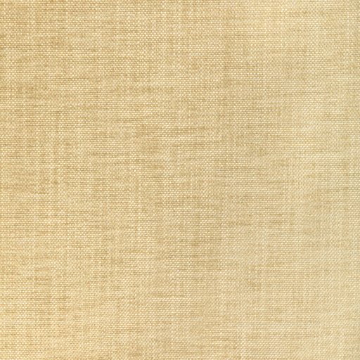 KRAVET SMART - KRAVET SMART- 36650-1116 - Fabric by the Yard 36650-1116