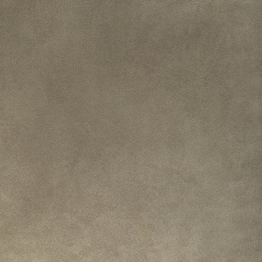 KRAVET CONTRACT - ROCCO VELVET- MINK - Fabric by the Yard MINK