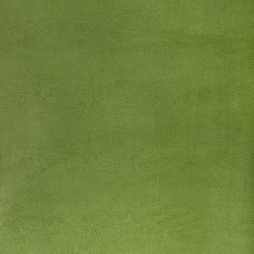 KRAVET CONTRACT - ROCCO VELVET- CACTUS - Fabric by the Yard CACTUS