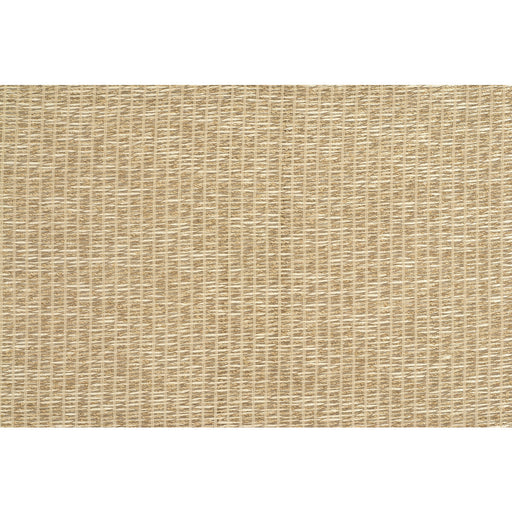 KRAVET COUTURE - 3668 - BEJO SHEER - Fabric By the Yard