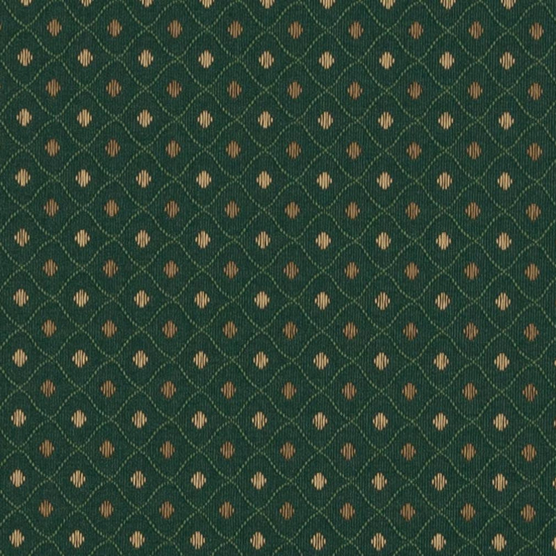 Charlotte - 3671 - Aspen - Fabric by the Yard Aspen