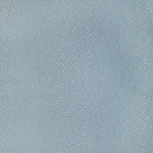 KRAVET DESIGN - 36757 - EVENING DRIZZLE - Fabric By the Yard