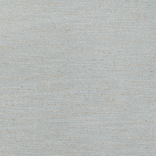 KRAVET DESIGN - 36772 - GILT TEXTURE - Fabric By the Yard
