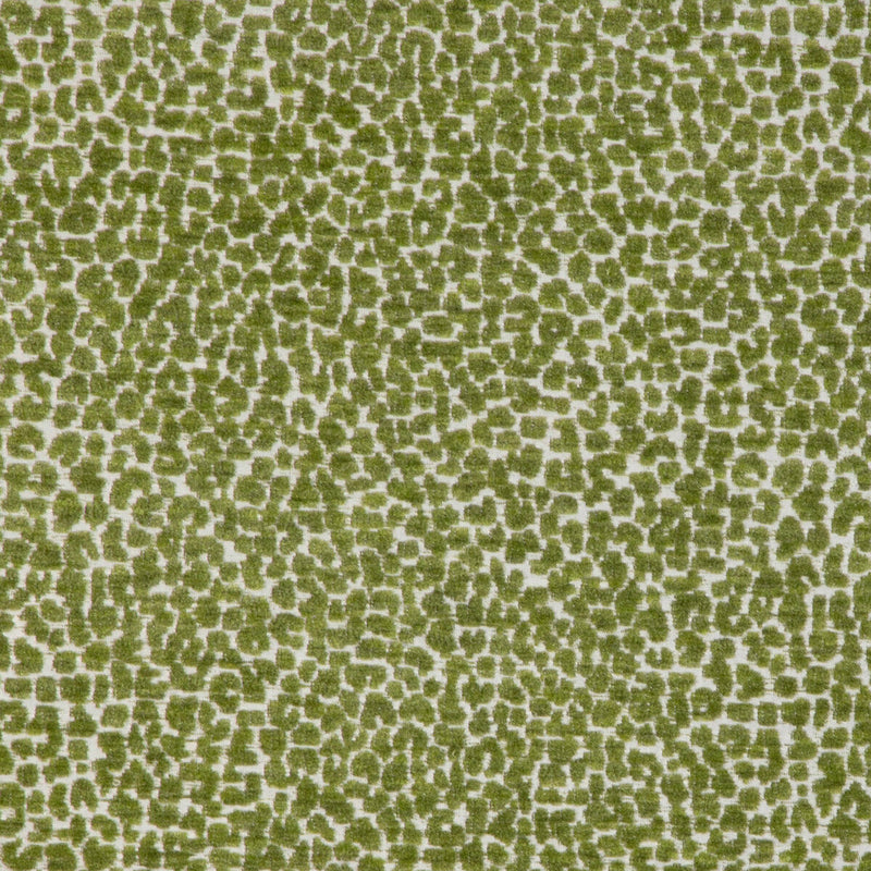 KRAVET DESIGN - KRAVET DESIGN- 36777-3 - Fabric by the Yard 36777-3