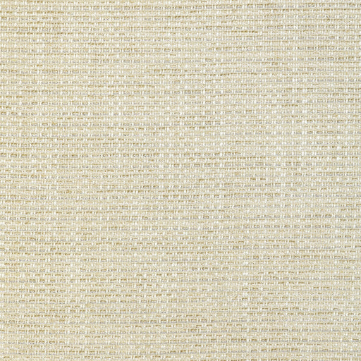 KRAVET DESIGN - 36800 - METALLIC WONDER - Fabric By the Yard