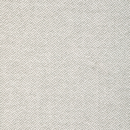 KRAVET DESIGN - GRACEFUL MOVES- DOVE - Fabric by the Yard DOVE