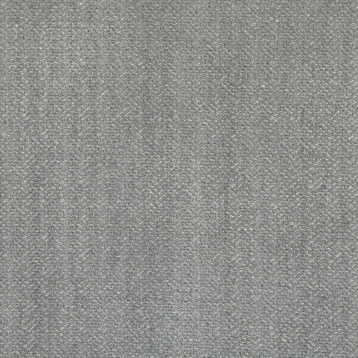 KRAVET DESIGN - GRACEFUL MOVES- SLATE - Fabric by the Yard SLATE