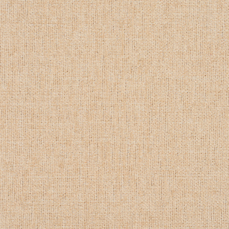 Charlotte - 3683 - Cream - Fabric by the Yard Cream