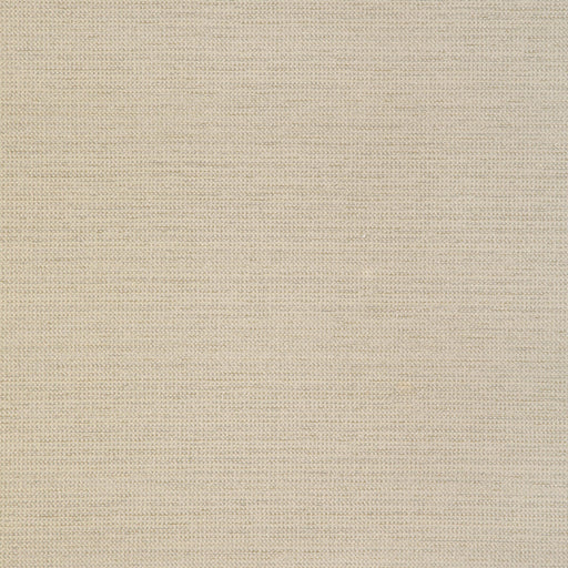 KRAVET DESIGN - KRAVET DESIGN- 36882-1611 - Fabric by the Yard 36882-1611