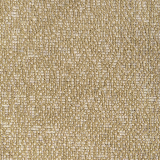 KRAVET DESIGN - KRAVET DESIGN- 36886-1616 - Fabric by the Yard 36886-1616