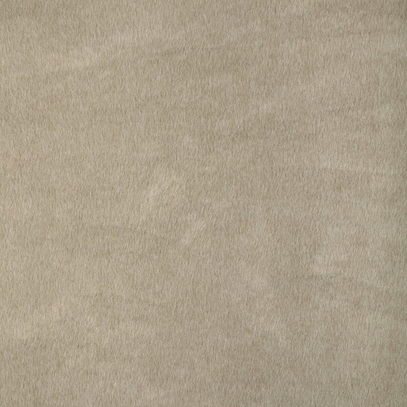 KRAVET BASICS - KRAVET BASICS- 36897-16 - Fabric by the Yard 36897-16