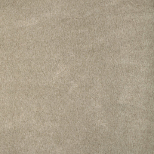 KRAVET BASICS - KRAVET BASICS- 36897-16 - Fabric by the Yard 36897-16