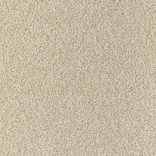 KRAVET COUTURE - ALPACA BOUCLE- OYSTER - Fabric by the Yard OYSTER