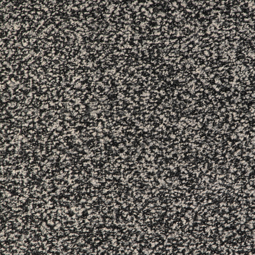 KRAVET SMART - KRAVET SMART- 36982-811 - Fabric by the Yard 36982-811