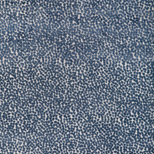 KRAVET DESIGN - KRAVET DESIGN- 36988-5 - Fabric by the Yard 36988-5