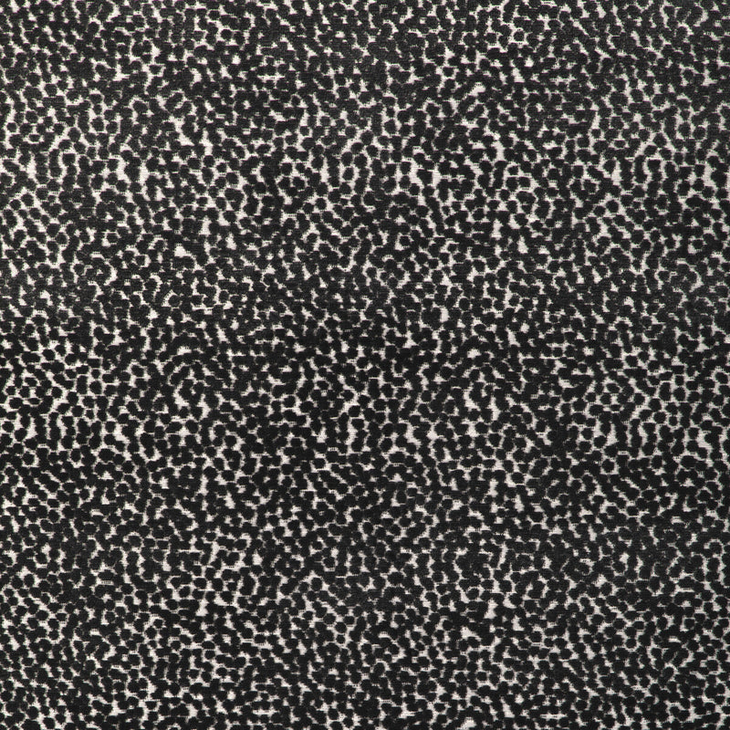 KRAVET DESIGN - KRAVET DESIGN- 36988-8 - Fabric by the Yard 36988-8