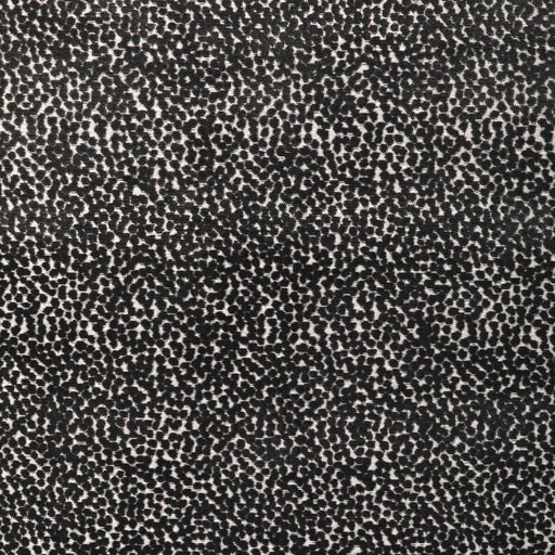 KRAVET DESIGN - KRAVET DESIGN- 36988-8 - Fabric by the Yard 36988-8