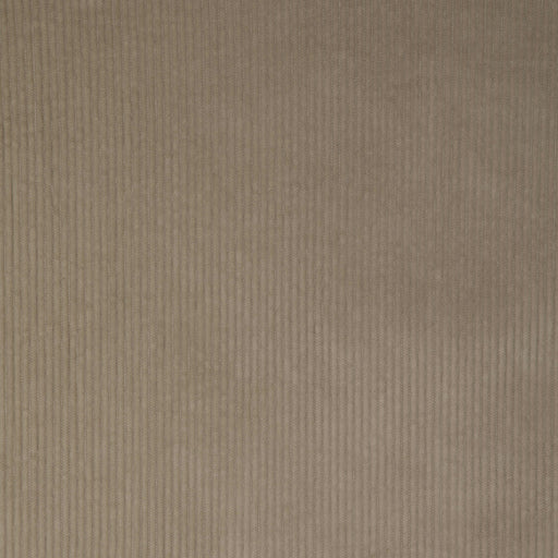KRAVET SMART - KRAVET SMART- 37006-106 - Fabric by the Yard 37006-106