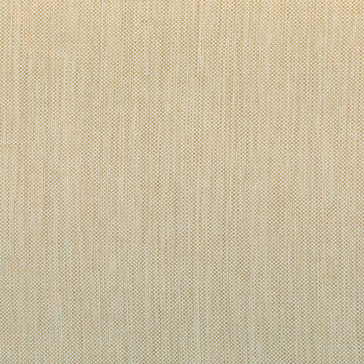KRAVET SMART - KRAVET SMART- 37016-166 - Fabric by the Yard 37016-166