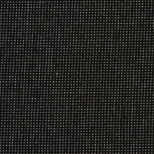 Charlotte - 3702 - Coal - Fabric by the Yard Coal