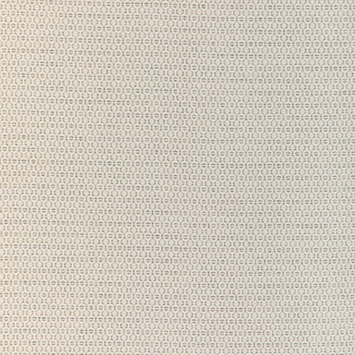 KRAVET DESIGN - CORWIN- SANDSTONE - Fabric by the Yard SANDSTONE