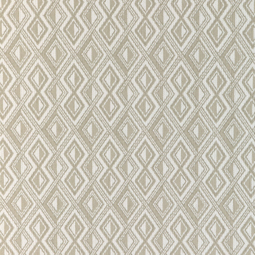 KRAVET DESIGN - ROUGH CUT- TAUPE - Fabric by the Yard TAUPE