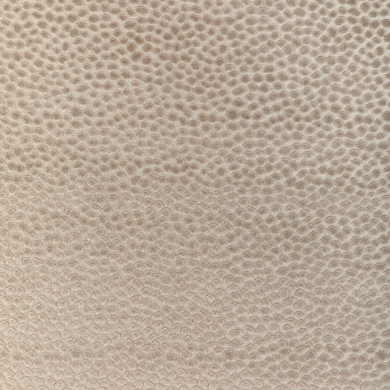 KRAVET DESIGN - KRAVET DESIGN- 37087-16 - Fabric by the Yard 37087-16