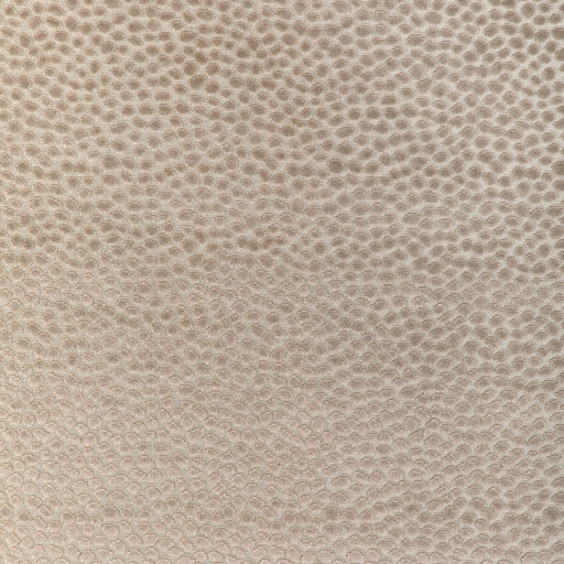 KRAVET DESIGN - KRAVET DESIGN- 37087-16 - Fabric by the Yard 37087-16