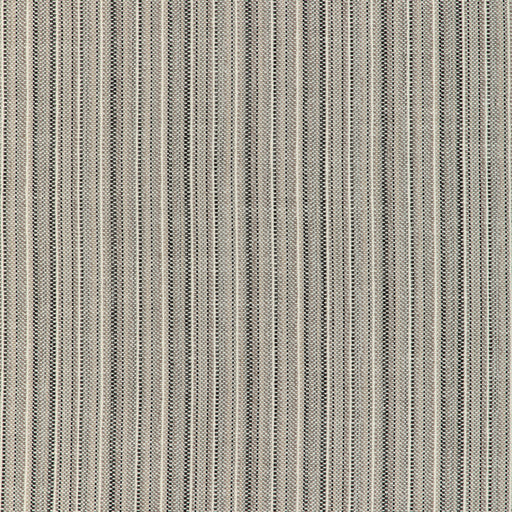 KRAVET DESIGN - KRAVET DESIGN- 37148-1121 - Fabric by the Yard 37148-1121