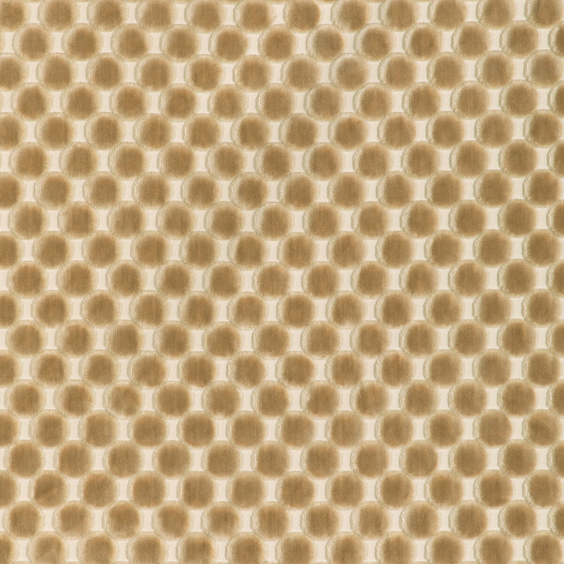KRAVET DESIGN - KRAVET DESIGN- 37165-1116 - Fabric by the Yard 37165-1116