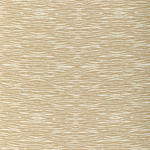 KRAVET DESIGN - KRAVET DESIGN- 37183-1161 - Fabric by the Yard 37183-1161