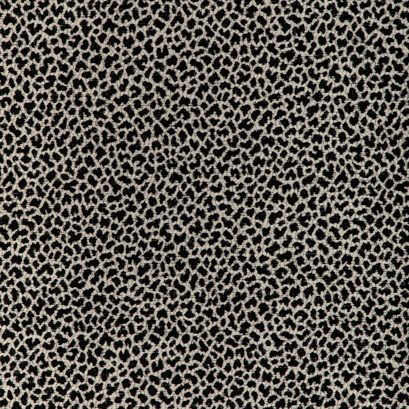 KRAVET DESIGN - KRAVET DESIGN- 37198-81 - Fabric by the Yard 37198-81