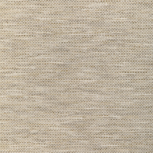 KRAVET DESIGN - KRAVET DESIGN- 37207-106 - Fabric by the Yard 37207-106