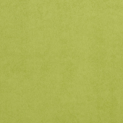 Charlotte - 3724 - Lime - Fabric by the Yard Lime