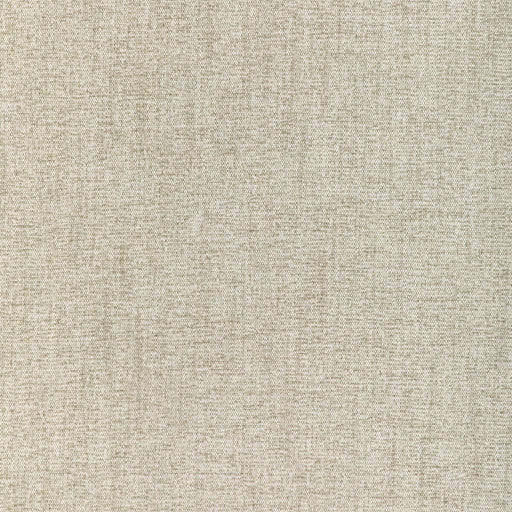KRAVET COUTURE - SAND DUNE- SAND - Fabric by the Yard SAND