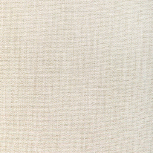 KRAVET COUTURE - SAND DUNE- IVORY - Fabric by the Yard IVORY
