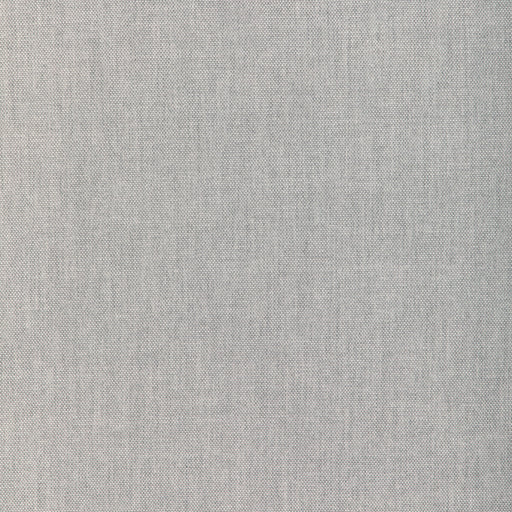 KRAVET COUTURE - 37255 - SOFTGROUND - Fabric By the Yard