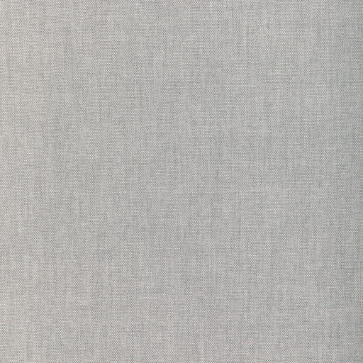 KRAVET COUTURE - SOFTGROUND- FEATHER - Fabric by the Yard FEATHER