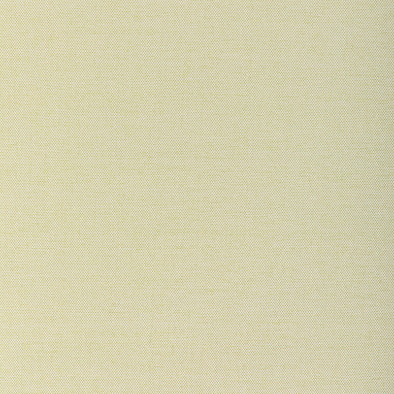 KRAVET COUTURE - SOFTGROUND- CACTUS - Fabric by the Yard CACTUS