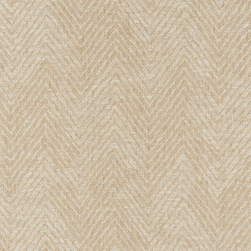 KRAVET BASICS - KRAVET BASICS- 37270-1161 - Fabric by the Yard 37270-1161