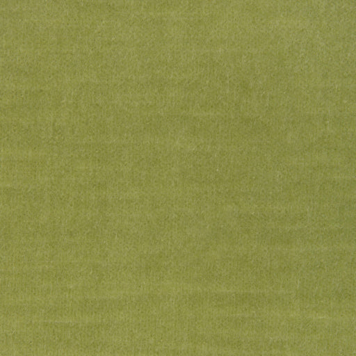 KRAVET DESIGN - KRAVET DESIGN- 37313-23 - Fabric by the Yard 37313-23