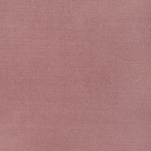 KRAVET DESIGN - KRAVET DESIGN- 37314-7 - Fabric by the Yard 37314-7