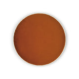 Posh Circle Pillow - Sedona - DV Kap