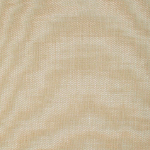 KRAVET BASICS - KRAVET BASICS- 37322-1111 - Fabric by the Yard 37322-1111
